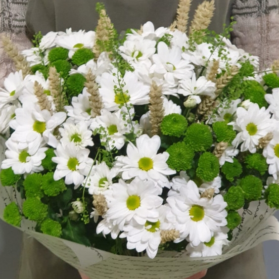 Букет из 15 белых и зеленых кустовых хризантем