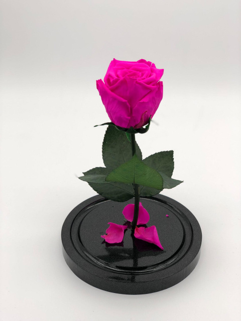 Роза в колбе Мини розовая