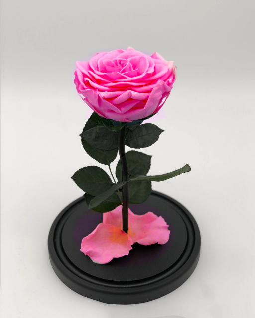 Роза в колбе Кинг сайз розовая