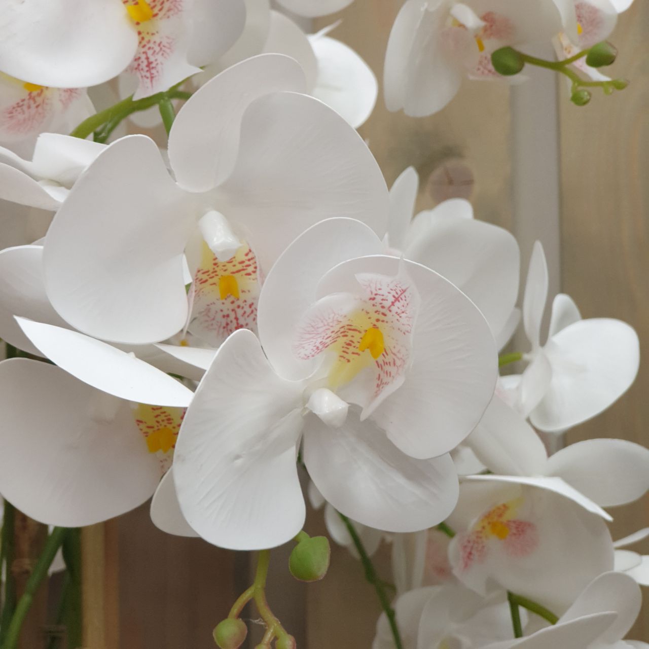 Напольная композиция с орхидеей