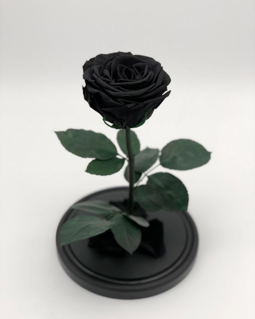 Роза в колбе Премиум Кинг сайз черная