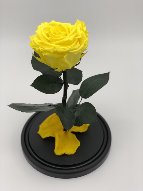 Роза в колбе жёлтая