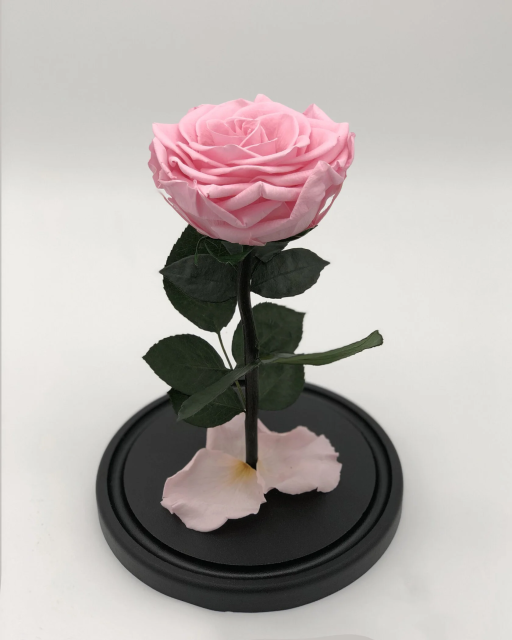 Роза в колбе Премиум ХИТ розовая