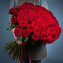 Букет 101 красной розы 65-70 см.