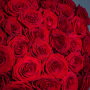 Букет 101 красной розы 65-70 см.