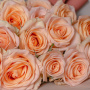 Букет из 17 эквадорских роз