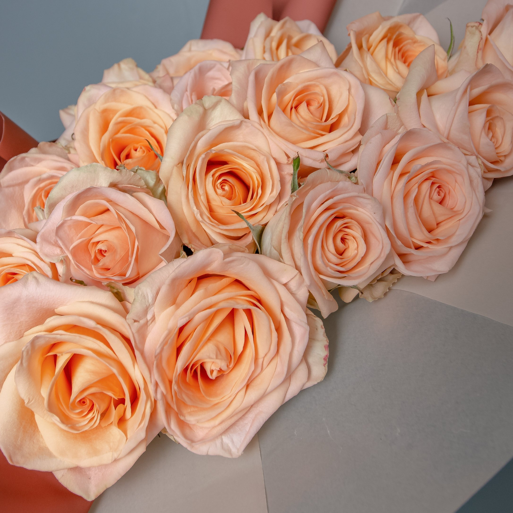 Букет из 17 эквадорских роз