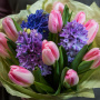 Букет из 10 розовых тюльпанов, 3 синих гиацинта в дизайнерской упаковке