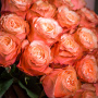 Букет из 25 светло-оранжевых роз 60~70 см.