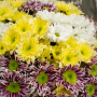 Букет 15 разноцветных кустовых хризантем