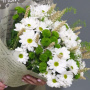 Букет из 15 белых и зеленых кустовых хризантем