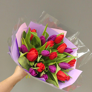 Букет из 19 красных тюльпанов в дизайнерской упаковке