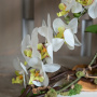Композиция из белой искусственной орхидеи Тайны Востока-2