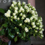 Букет из 25 белых кустовых роз
