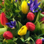 Букет из 9 синих ирисов, 20 разноцветных тюльпанов в дизайнерской упаковке
